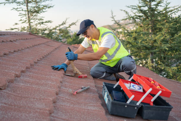 Best Roof Repair Services  in Burgaw, NC